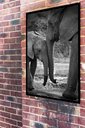 Ver imagem 1 de Quadro Decorativo Fotografia Mãe e Bebê Elefante - 70x50cm:moldura Preta
