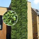 Ver mais imagens de 13 Quadros de Plantas Artificiais de Luxo P Jardim Vertical com Folhagens Realistas e Efeito Natural