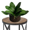 Ver imagem 1 de 5 Kit Folhas de Orquídea Artificial Premium Silicone com Aparência Natural e Raiz 25cm