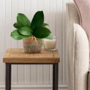 Ver mais imagens de 5 Kit Folhas de Orquídea Artificial Premium Silicone com Aparência Natural e Raiz 25cm