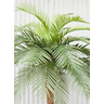 Arvore Tropical Planta Palmeira Fênix 31 Folhas Realista 220cm - 3