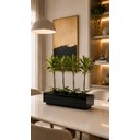 Ver imagem 3 de Vaso Grande Preto Vidro Decoração Casa
