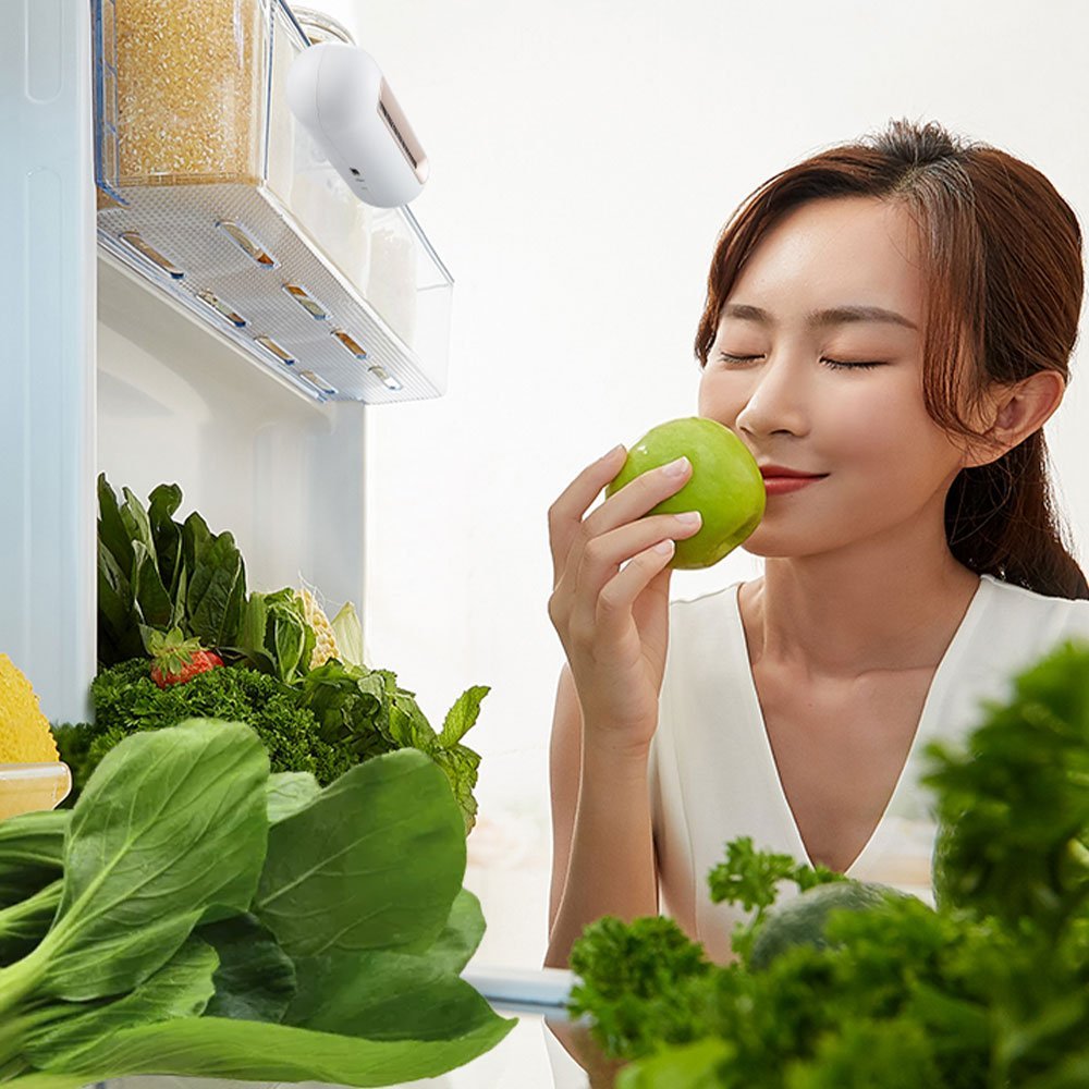 Desodorizador Geladeira Purificador de Ar Preserva Alimento Remove Odor Cozinha Fruta Legumes Vegeta - 7