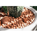 Ver imagem 4 de Argila Expandida Decoração Vaso Jardim 2215 - Saco 2 Kgs