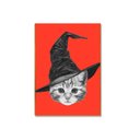 Ver imagem 1 de Placa Decorativa Mdf Gato Chapeu Feiticeiro Sala Quarto Gt4