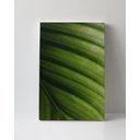 Ver imagem 1 de Tela em Canvas 094