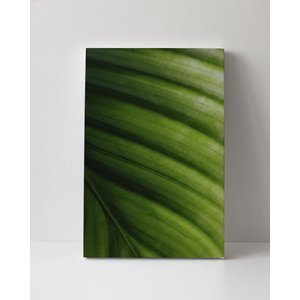 Tela em Canvas 094