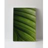 Tela em Canvas 094 - 1