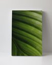 Ver imagem 1 de Tela em Canvas 094