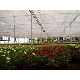 Tela Sombrite Proteção Hortaliças Modelo Freshnet 4m X 3m + Ilhós - 7