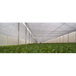 Tela Sombrite Proteção Hortaliças Modelo Freshnet 4m X 3m + Ilhós - 8