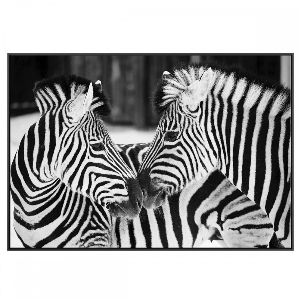 Quadros Decorativo Tela Animais 64 Cm X 94 Cm 584007 - Belchior - 1