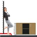 Ver imagem 6 de Armário Credenza 2 Portas Pivotante P25 Verde/Salvia/Samba