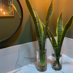 Vaso de Vidro Tubo 10x40cm Transparente Decoração Beadecor - 2