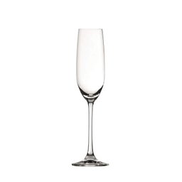 Cj Salute Taca Vid Champagne 12pcs 210ml - 1