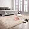 Tapete de Sala Grande Felpudo Luxo Macio ( Peludo) 100x140cm Nude Casen - 1