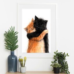 Quadro Gatinhos Abraçados - 60x48cm:moldura Branca - 2