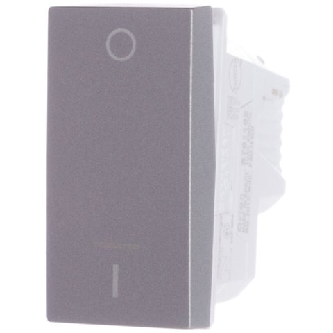 Módulo Interruptor Bipolar Simples 10 Amperes 250 Volts 1m Alumínio Orion - S70110274 - Schneider