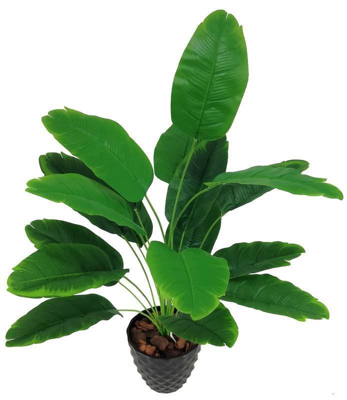 Árvore Planta Folhagem Bananeira Palmeira Vede 81cm Grande