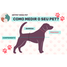 Roupa Pet Cachorro Gato Macho Feme e Brinde Diversas Estampas Personagens Calor Frio Inverno Verão L - 3