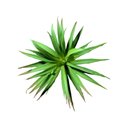 Ver imagem 3 de Folhagem Artificial Suculenta 19cm - D’Rossi