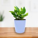 Ver imagem 6 de Vaso Cachepot Orquídea (9x11) Cor Azul Vintage Vasart