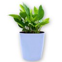 Ver imagem 5 de Vaso Cachepot Orquídea (9x11) Cor Azul Vintage Vasart