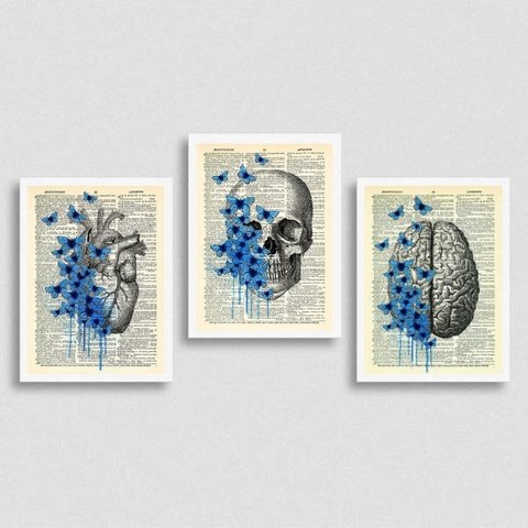 kit 3 Quadros Psicologia Cérebro Coração 24x18cm - com vidro:Madeira preta