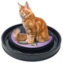 Ver imagem 4 de Arranhador Gatos Bolinha Interativa Relax Antistress