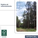 Ver imagem 7 de Rack para TV até 65 Polegadas 100% MDF 185cm Pés em Madeira Maciça 2 Gavetas Club Preto