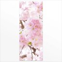 Ver imagem 2 de Adesivo de Porta Flores Cerejeira Arte Destaque G - 0,93 X 2,13 Metros