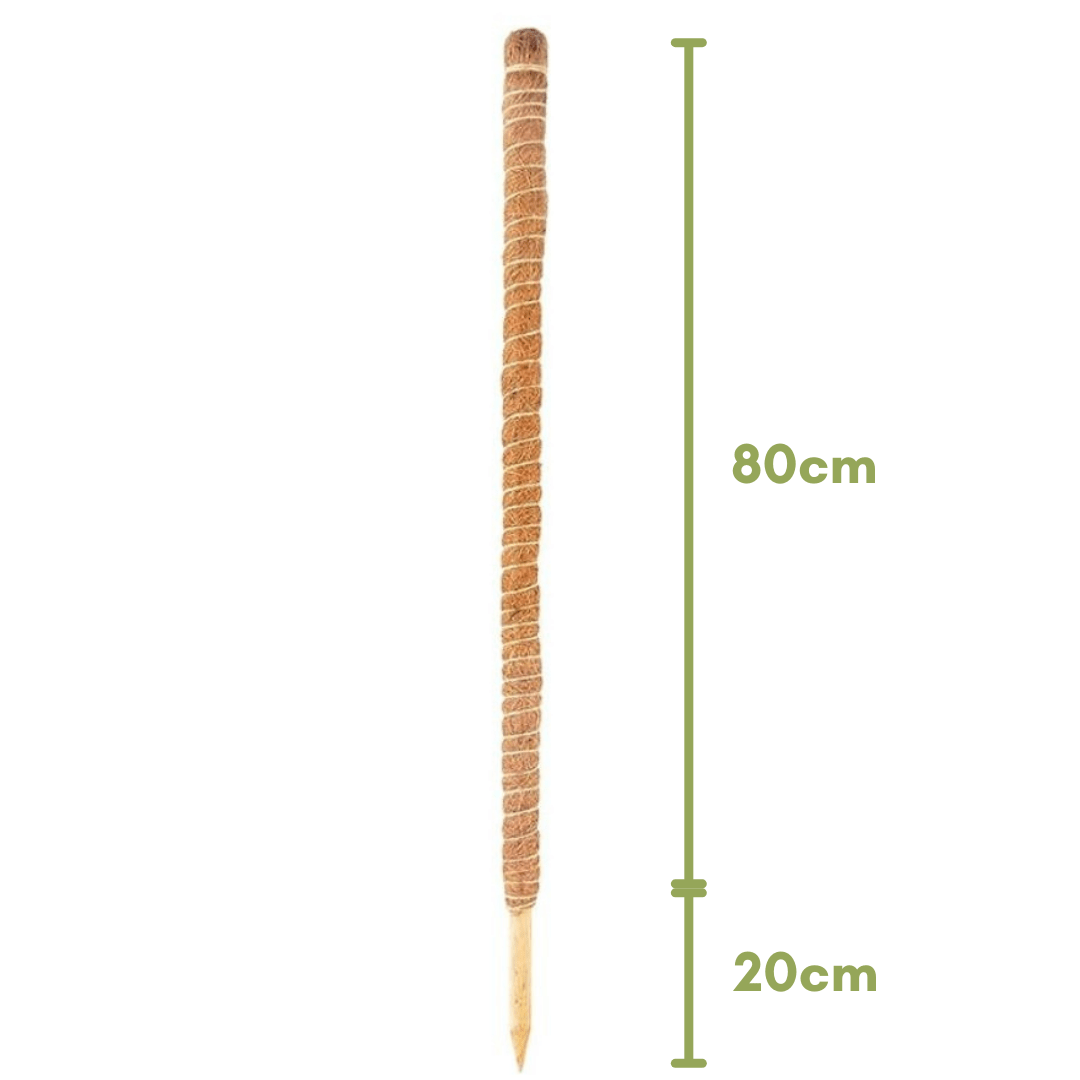 Tutor de Plantas de Fibra de Coco Estaca Flexível 100cm - 3