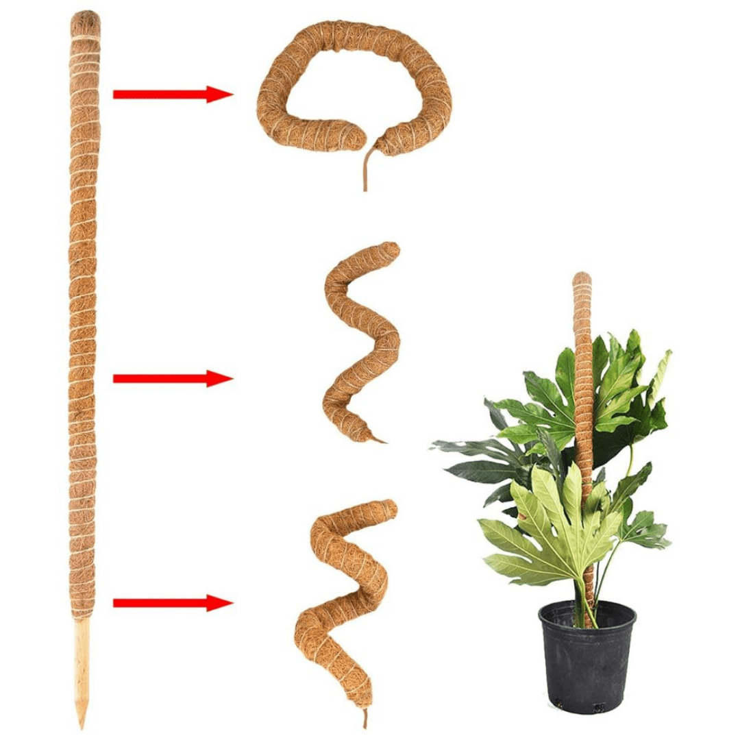 Tutor de Plantas de Fibra de Coco Estaca Flexível 100cm - 5