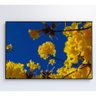 Quadro Árvore Ipê Amarelo no Céu Azul Medidas 80x120 Cm Impressão Vidro Acrílico - 2