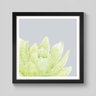 Quadro Floral Suculenta Verde - Quadro 40x40cm - Moldura Padrão Madeira - 1