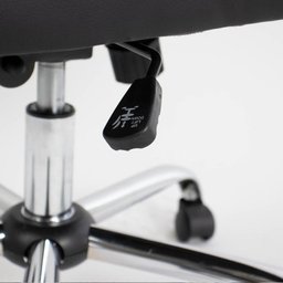 Cadeira Presidente com Mola Ensacada Maxwell Healer Preta - 4