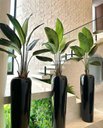 Ver imagem 5 de Vaso Grande Vitrificado 100cm Fibra de Vidro Preto Brilho