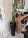 Ver imagem 4 de Vaso Grande Vitrificado 100cm Fibra de Vidro Preto Brilho