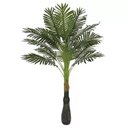 Ver imagem 1 de Palmeira Havaiana Verde 1,25m | Formosinha