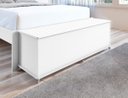 Ver imagem 3 de Bau Recamier Organizador com Rodinhas para Quarto Mobihome Móveis Bau Banco Bau para Quarto Casal Ba