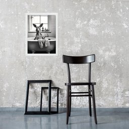 Quadro para Decorar Banheiro - Canguru 45x34cm - com Vidro:moldura Branca - 2