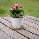 Ver imagem 4 de Kit 2 Pratos Pequenos para Vaso de Flor Tramontina Plástico Reciclável Granito Areia Jardim