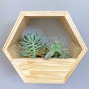 Ver imagem 1 de Nicho Colmeia com Cachepô Natural