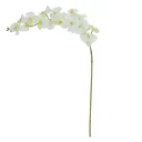 Ver imagem 1 de Orquídea Phalaenopsis Real Toque 115cm Branco Florarte Flor Arte