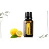 Óleo Essencial de Lemon - Limão Siciliano 15ml do Terra - 2