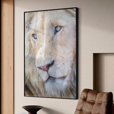Quadro Decorativo Leão Branco em Moldura Caixa Tacolado Moldura Trad 1cm Preta com Vidro 30 X 40cm