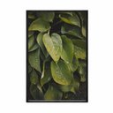 Ver imagem 1 de Quadro Decorativo - Folhas Tropicais Verde Flnt098 - Tela Canvas - 60x40cm