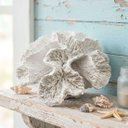 Ver imagem 2 de Coral em Resina Decorativo Casa de Praia Oceano Mar 8x14cm