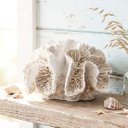 Ver imagem 3 de Coral em Resina Decorativo Casa de Praia Oceano Mar 8x14cm