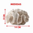 Ver imagem 4 de Coral em Resina Decorativo Casa de Praia Oceano Mar 8x14cm